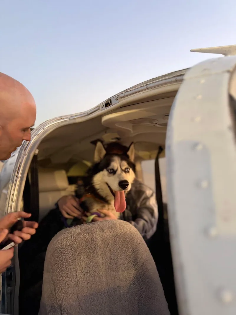 Lucius: Loyal Luci Needs thumbnail 2