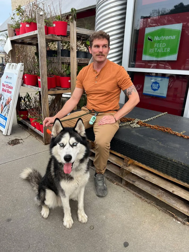 Lucius: Loyal Luci Needs thumbnail 3