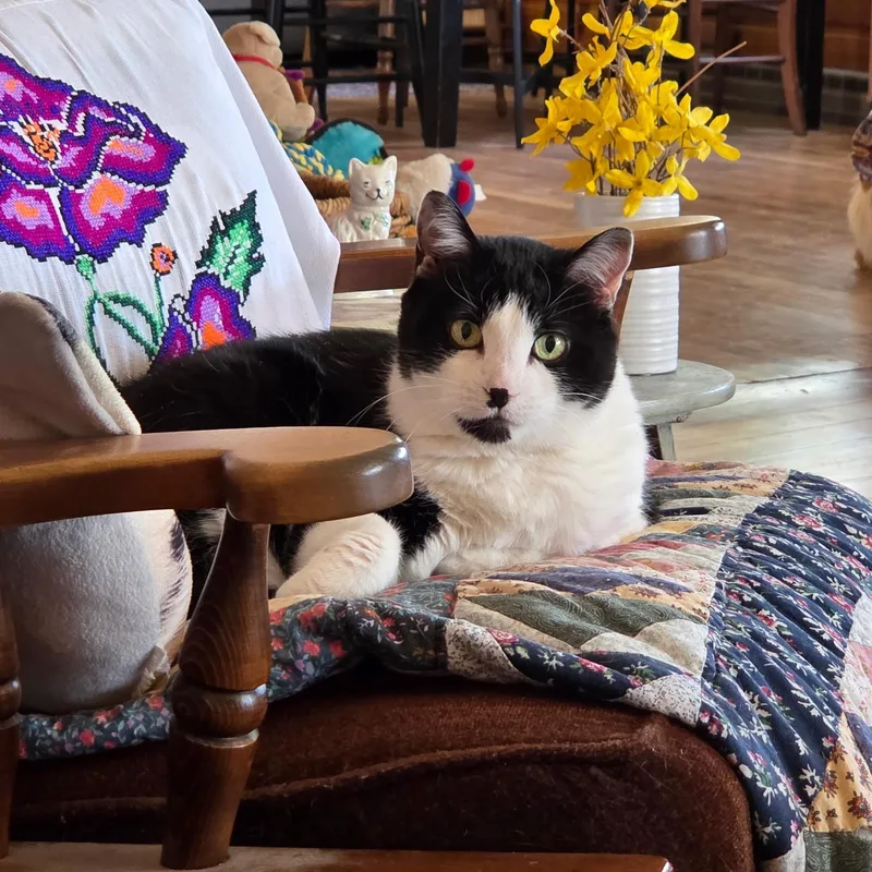 Sadie In Colorado thumbnail 2