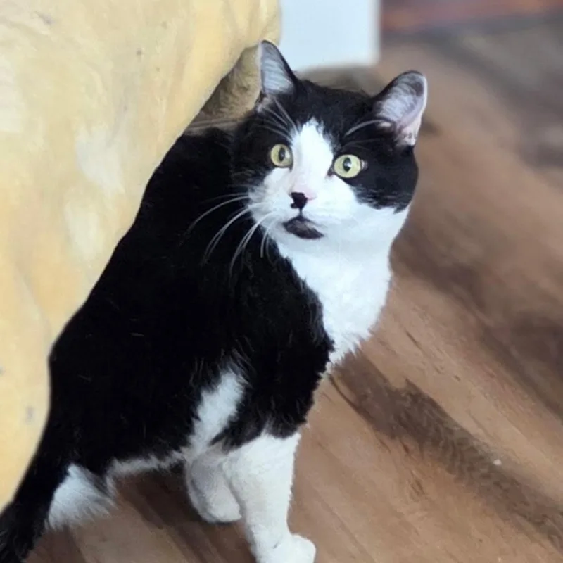 Sadie In Colorado thumbnail 3