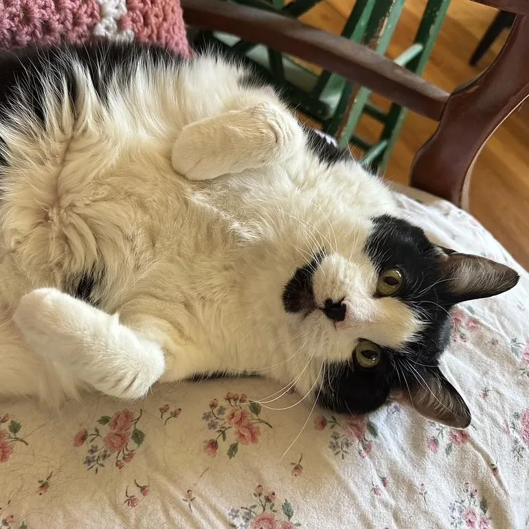 Sadie In Colorado thumbnail 4