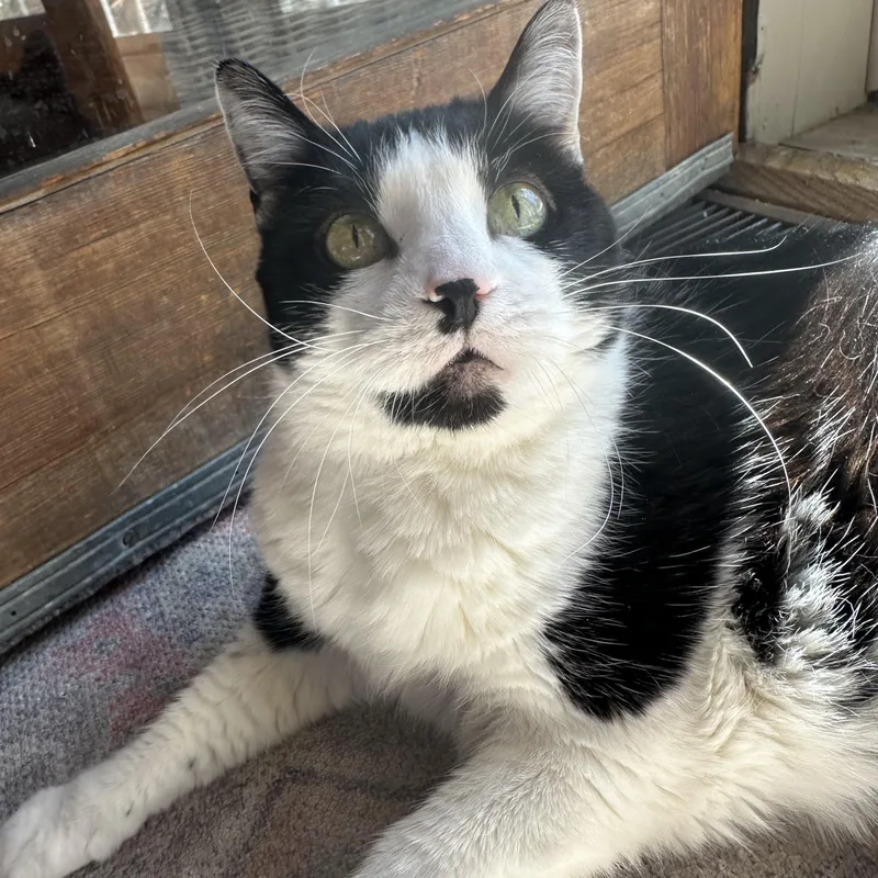 Sadie In Colorado thumbnail 5