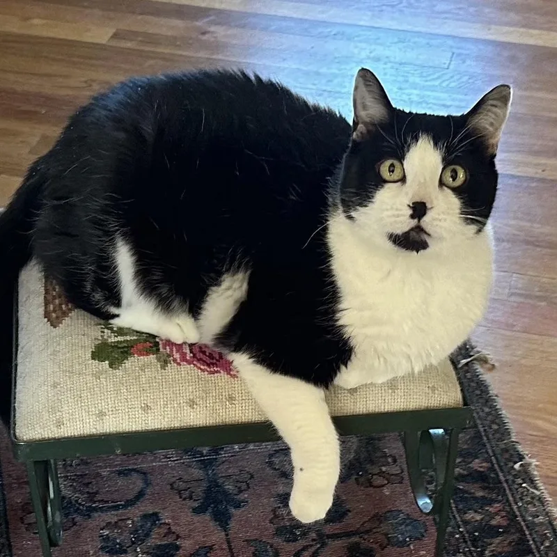 Sadie In Colorado thumbnail 6