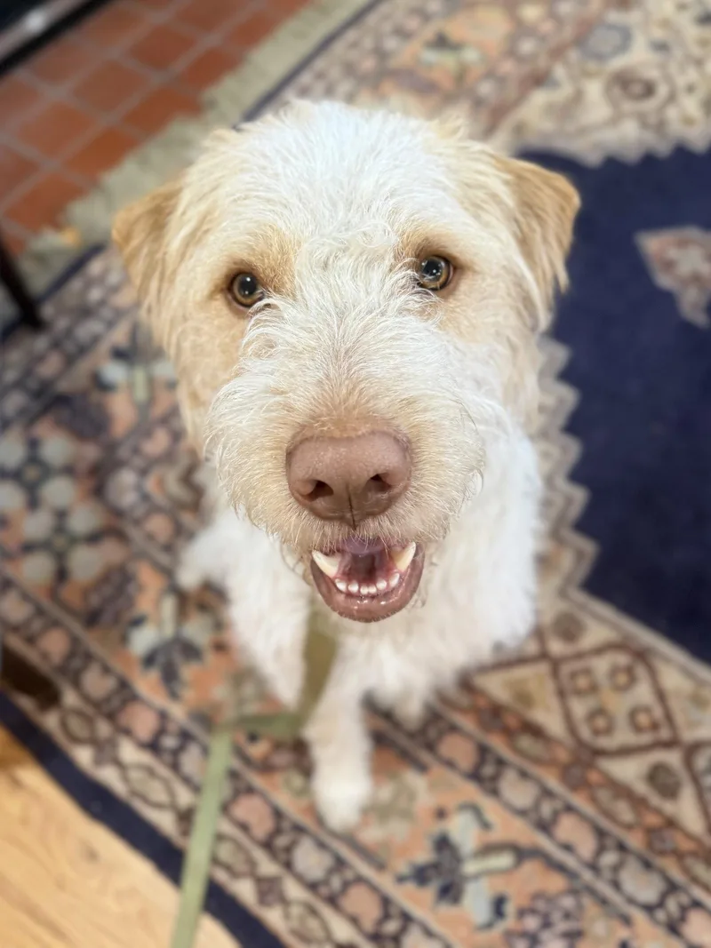 Leonidio thumbnail 2