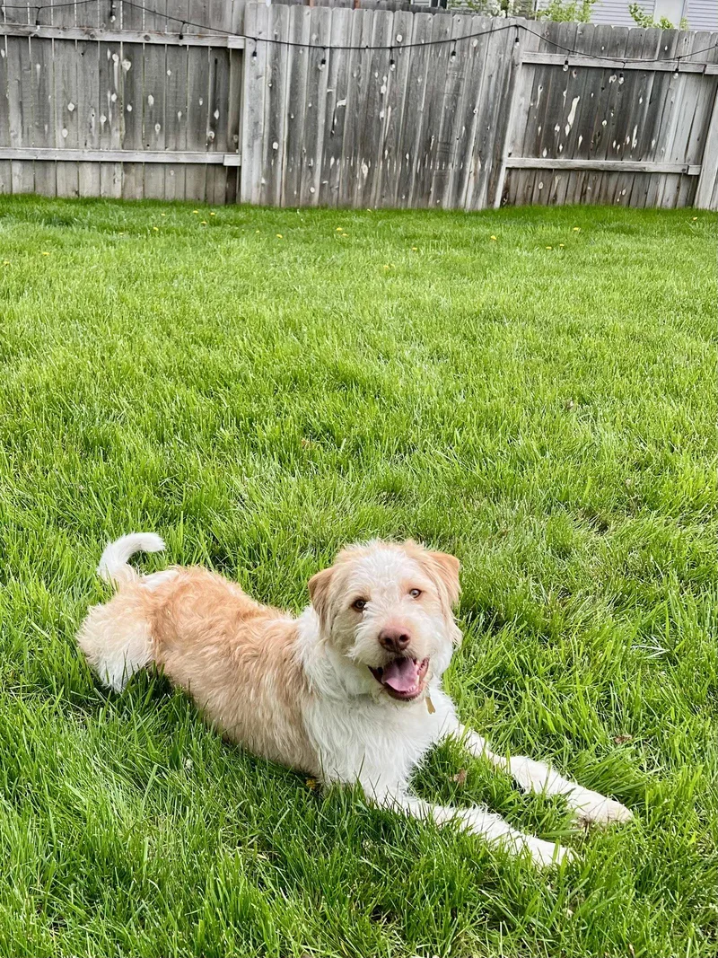 Leonidio thumbnail 3