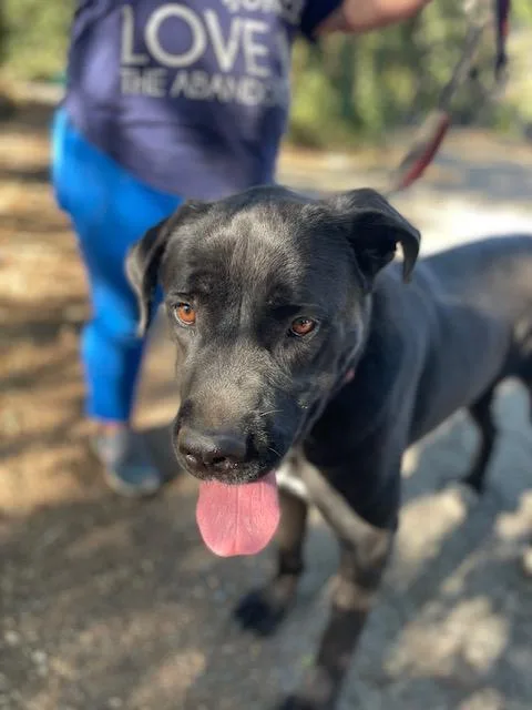 Faith  Courtesy Listing