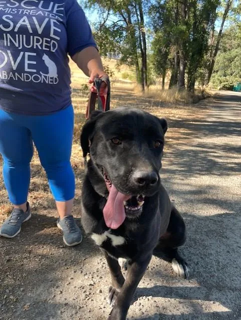 Faith  Courtesy Listing thumbnail 2