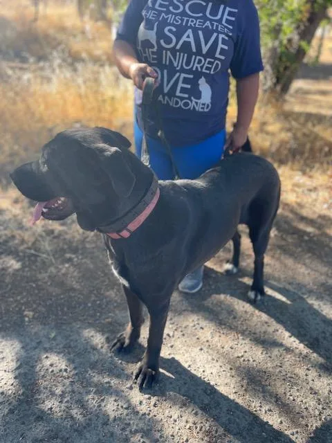 Faith  Courtesy Listing thumbnail 3