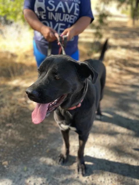 Faith  Courtesy Listing thumbnail 4