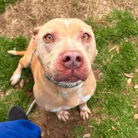 Queen Mushy thumbnail 2