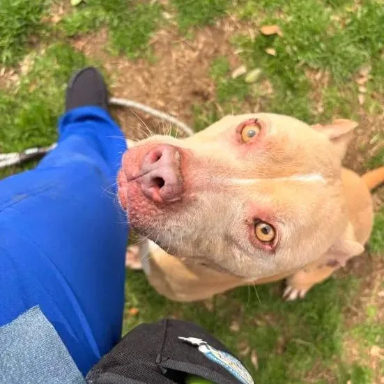 Queen Mushy thumbnail 3