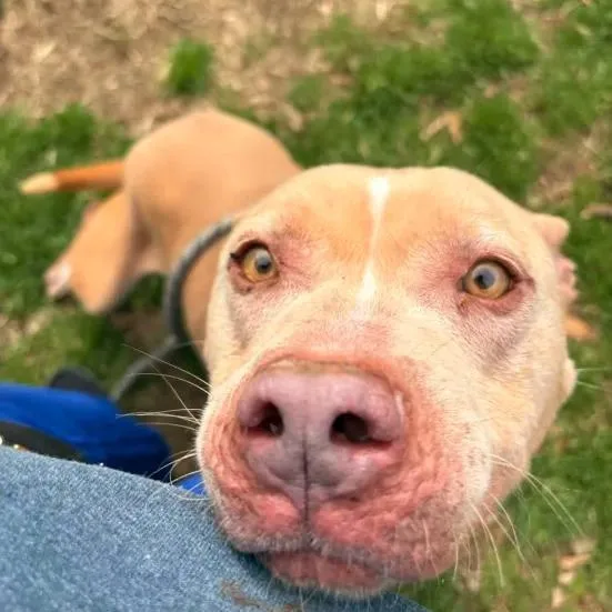 Queen Mushy thumbnail 6