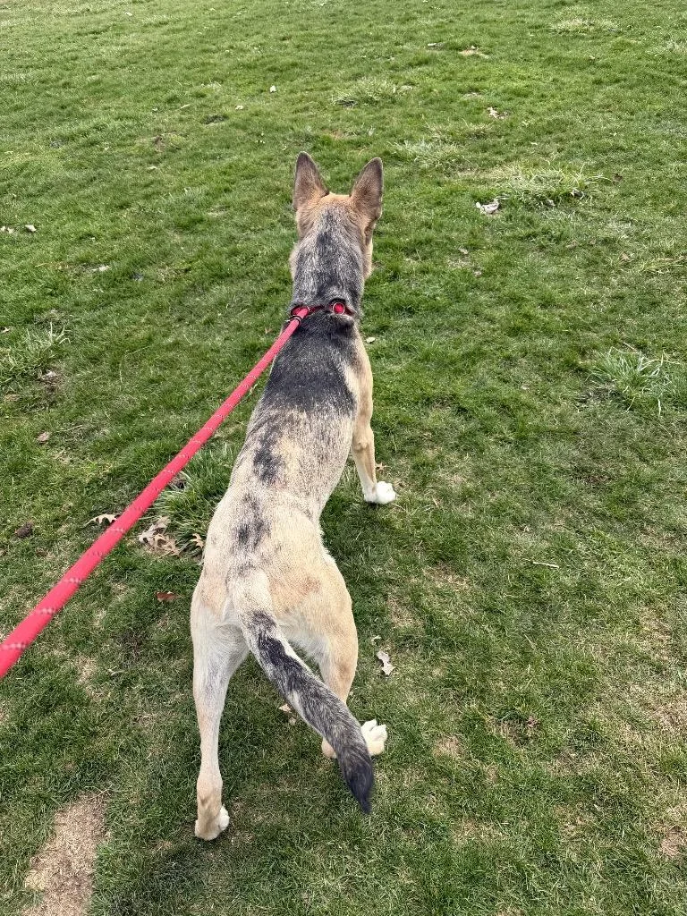 Kingston thumbnail 2