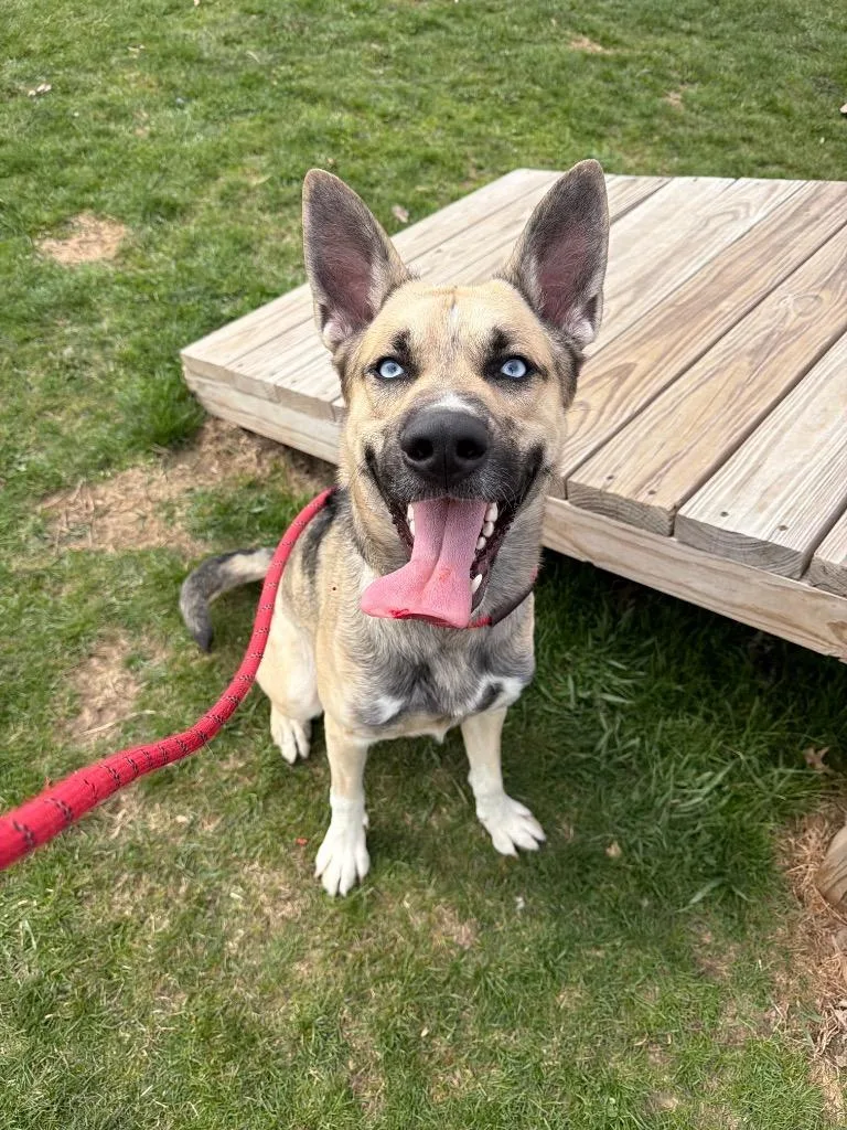 Kingston thumbnail 4