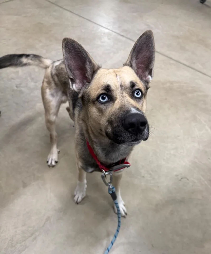 Kingston thumbnail 5