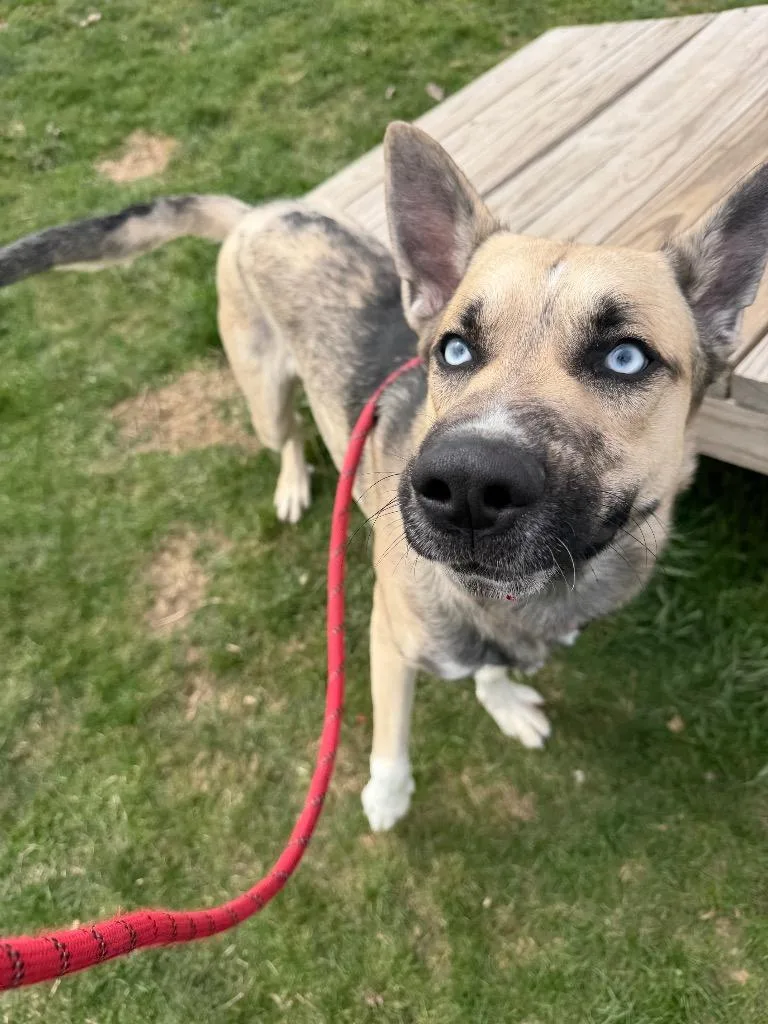 Kingston thumbnail 6