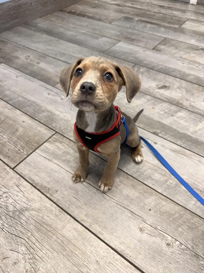 Fortune