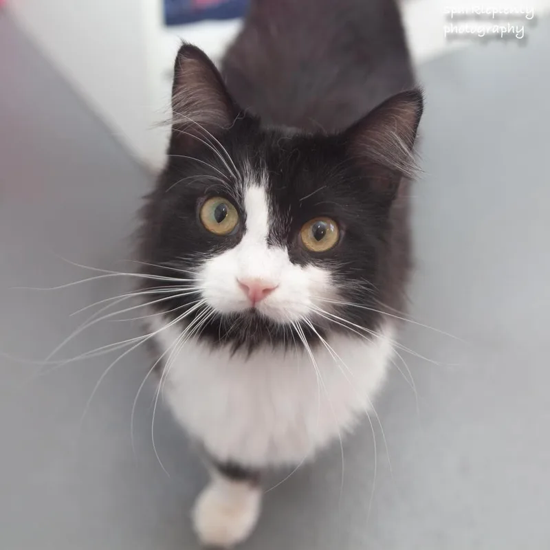 Mrs. Tippy thumbnail 2