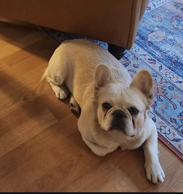 Launch Pad thumbnail 2