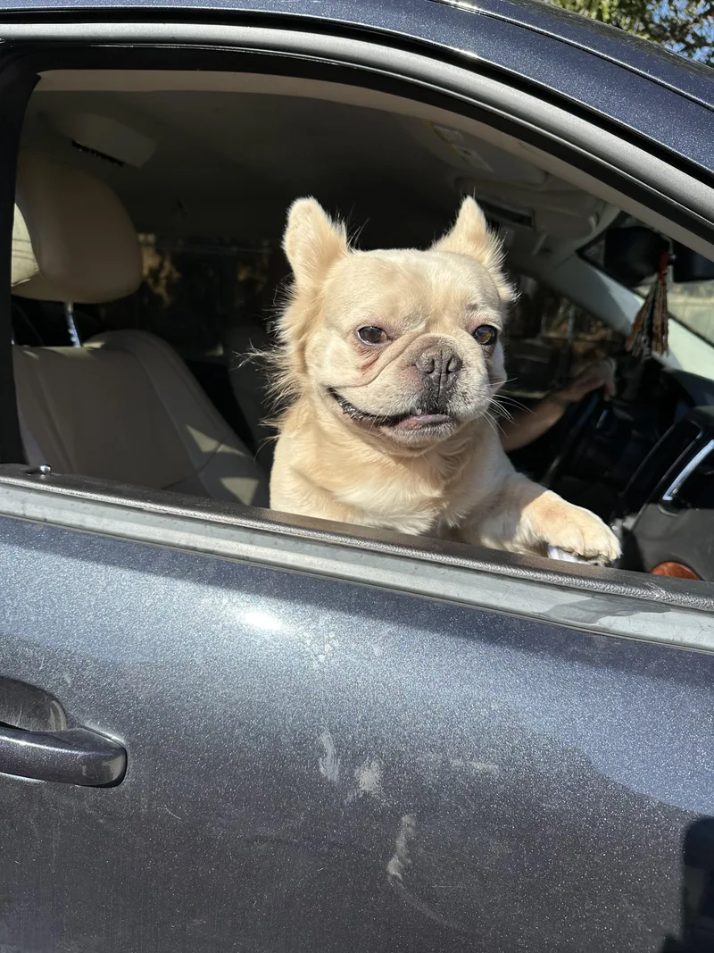 Launch Pad thumbnail 3