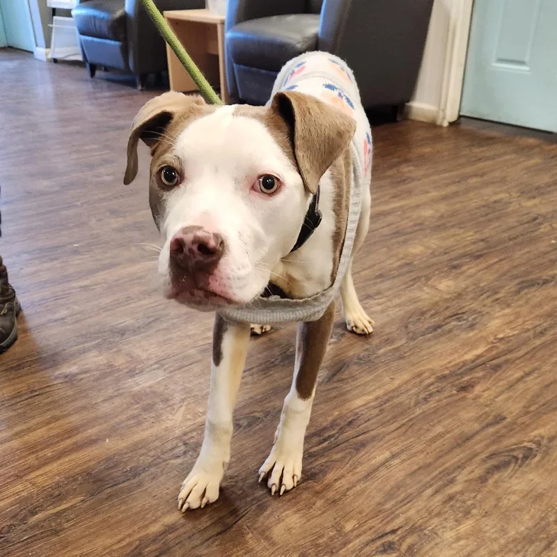 Ms. River thumbnail 2