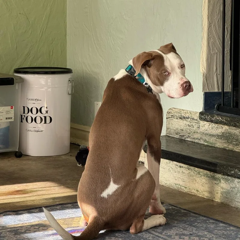 Ms. River thumbnail 3