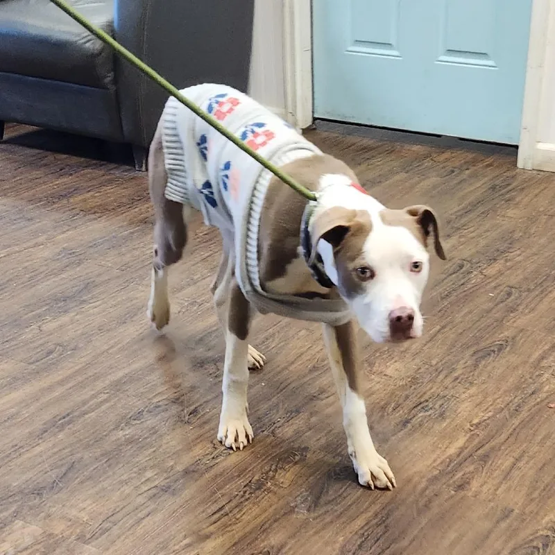 Ms. River thumbnail 4