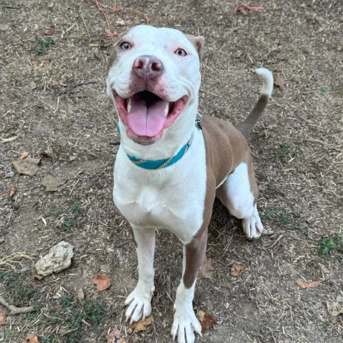 Ms. River thumbnail 5