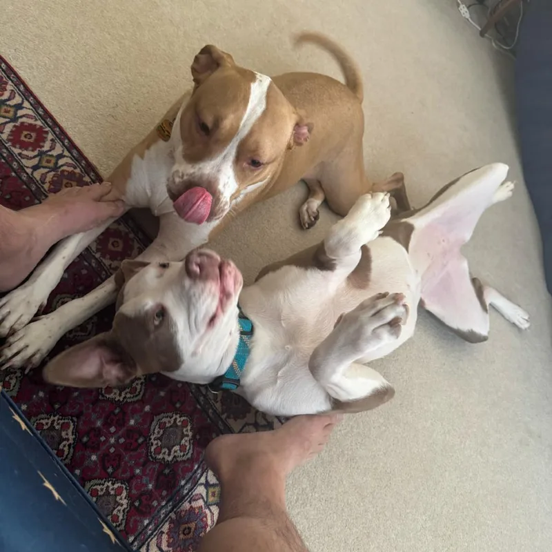 Ms. River thumbnail 6