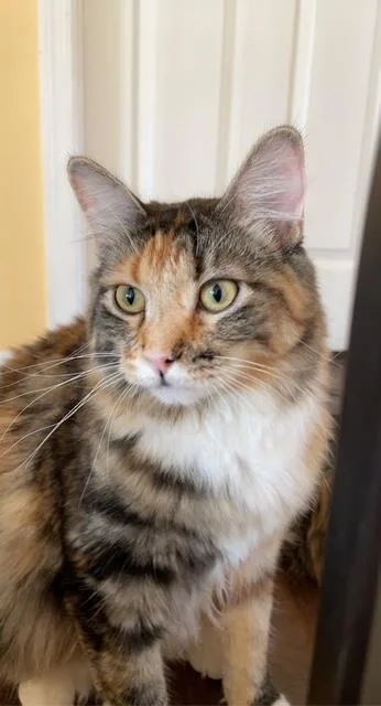 Lucy Valdez thumbnail 2