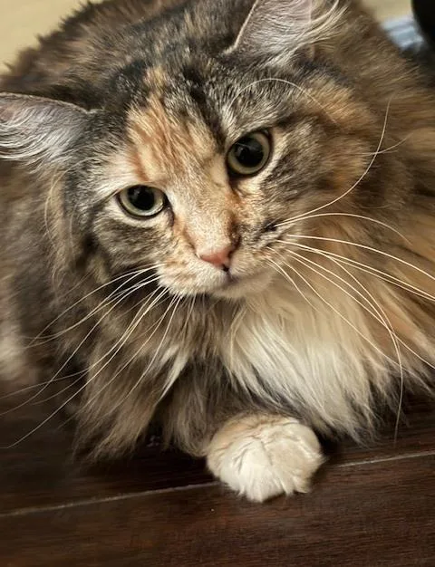 Lucy Valdez thumbnail 3