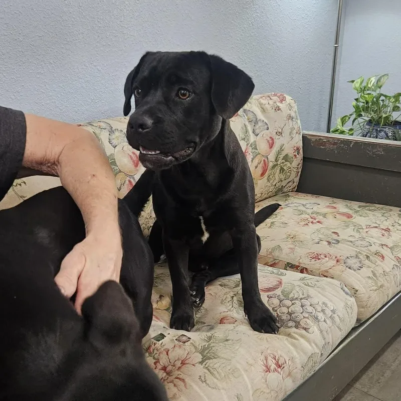 Midnight thumbnail 2