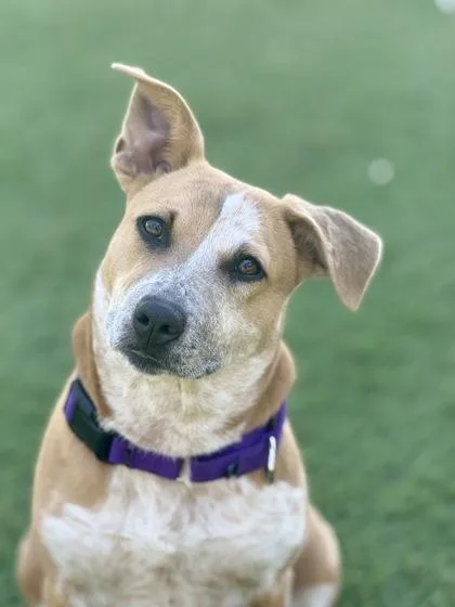 Saturday thumbnail 2