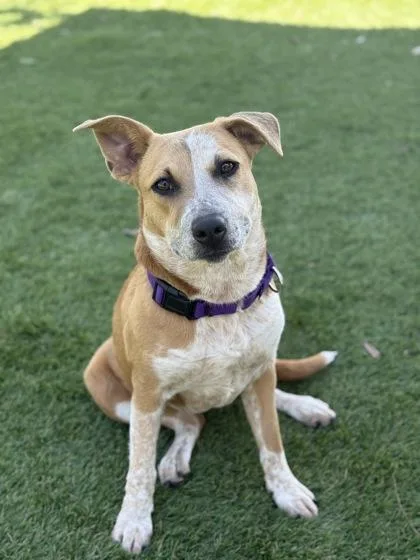 Saturday thumbnail 3