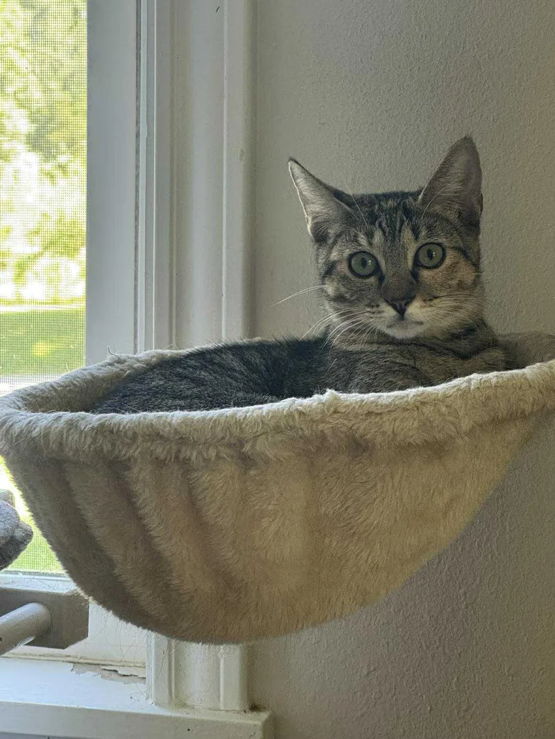 Bindi & Bunny thumbnail 5