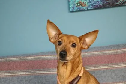 Roxy thumbnail 2