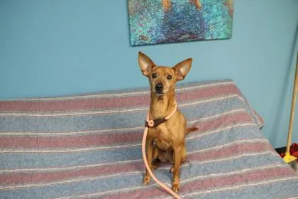 Roxy thumbnail 3