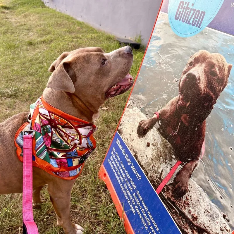 Mc Chicken thumbnail 4