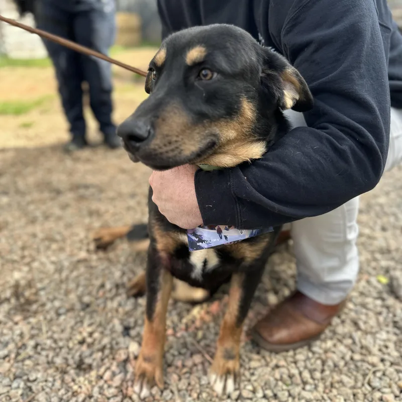 Moe Mentum thumbnail 2