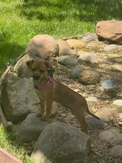 Coco thumbnail 2