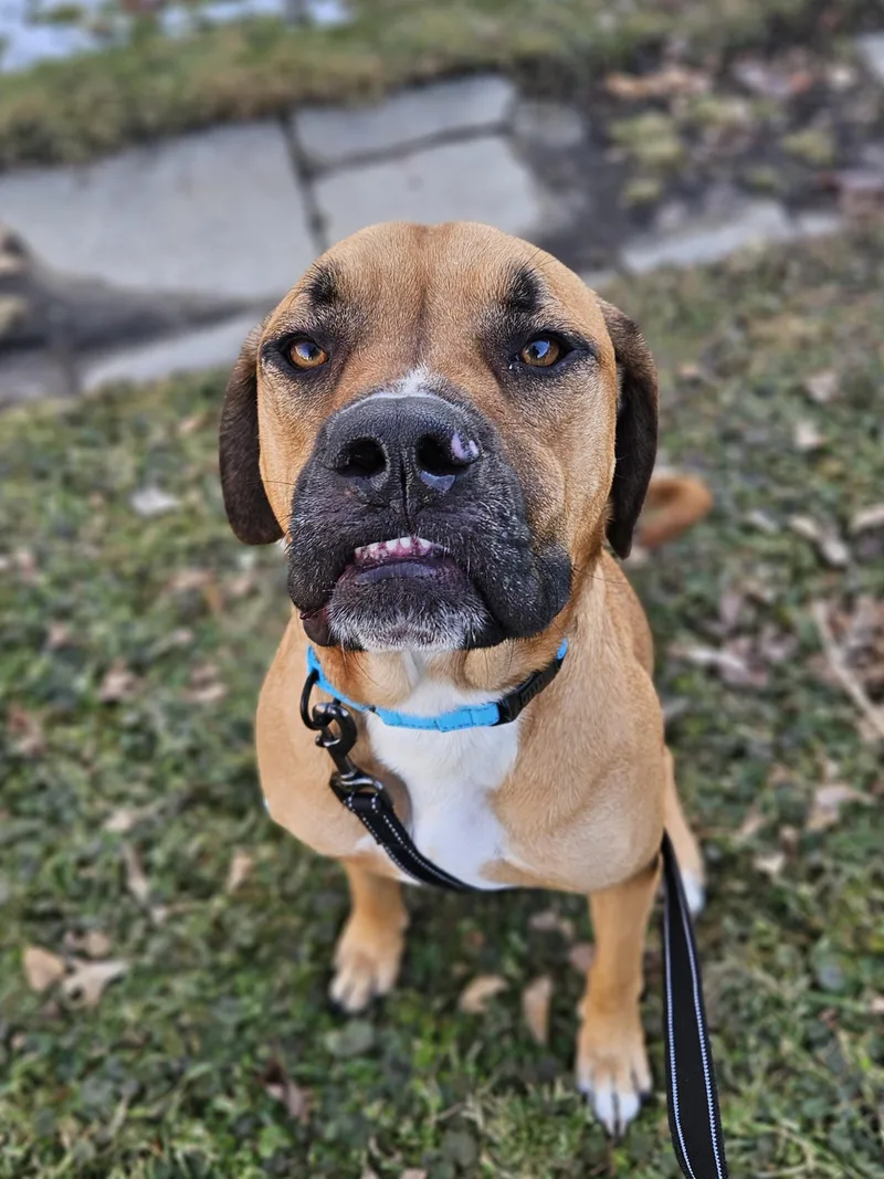 Chase    thumbnail 6