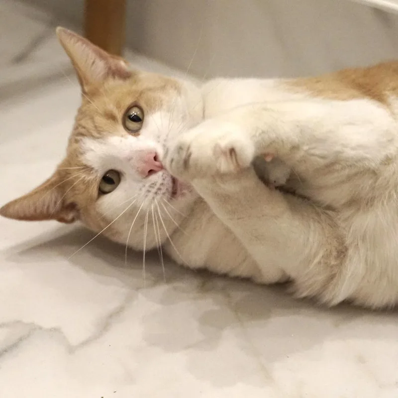 Sunny Morales thumbnail 3