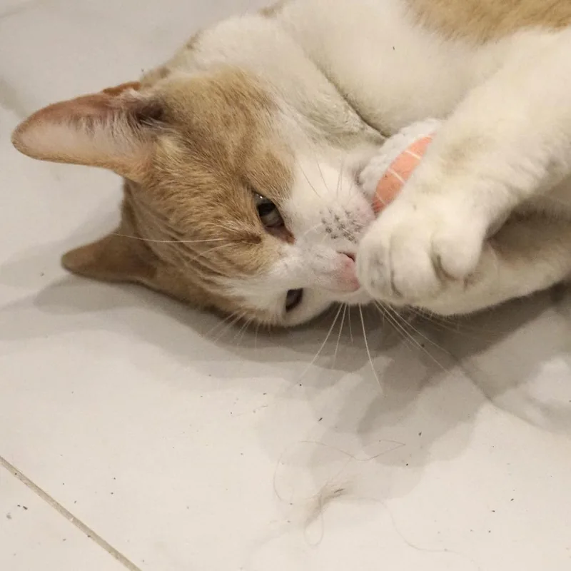 Sunny Morales thumbnail 4