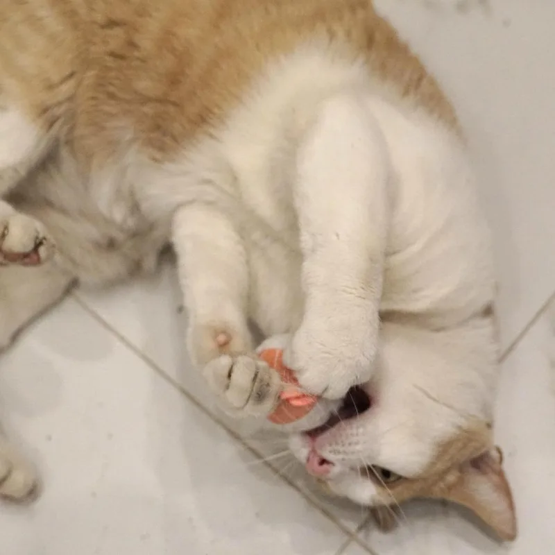 Sunny Morales thumbnail 5