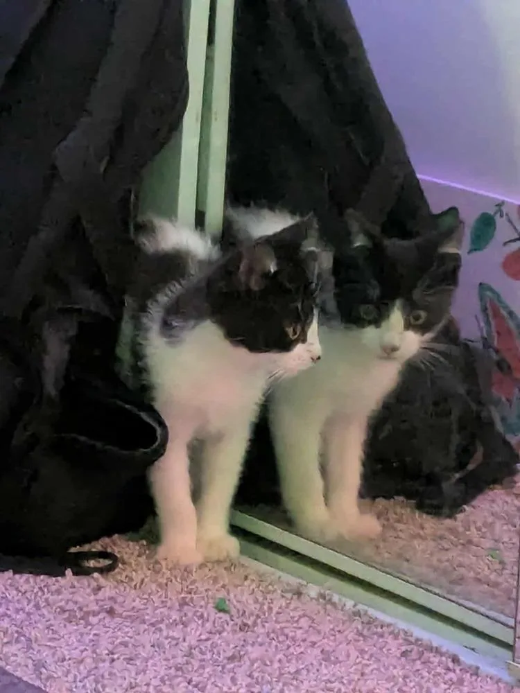 Jackson Pollock thumbnail 2