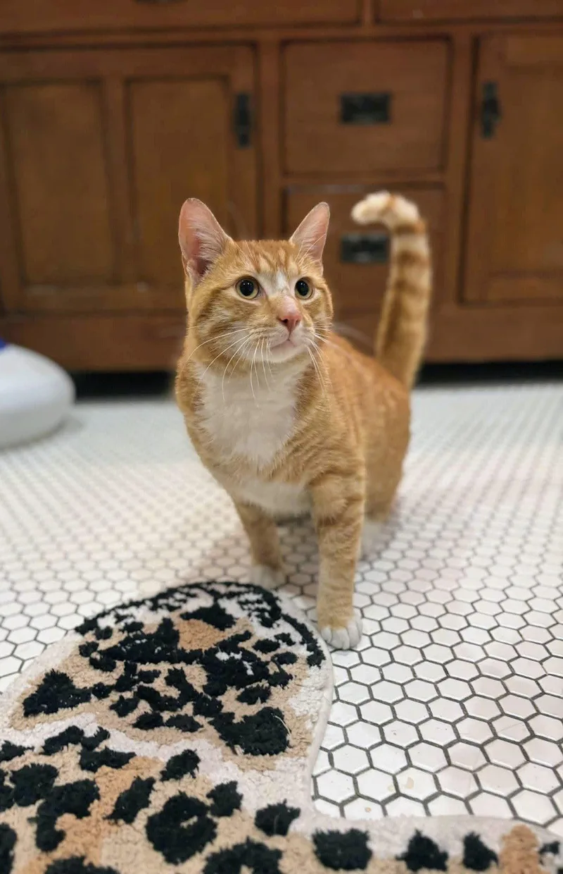 Sunny Day thumbnail 2