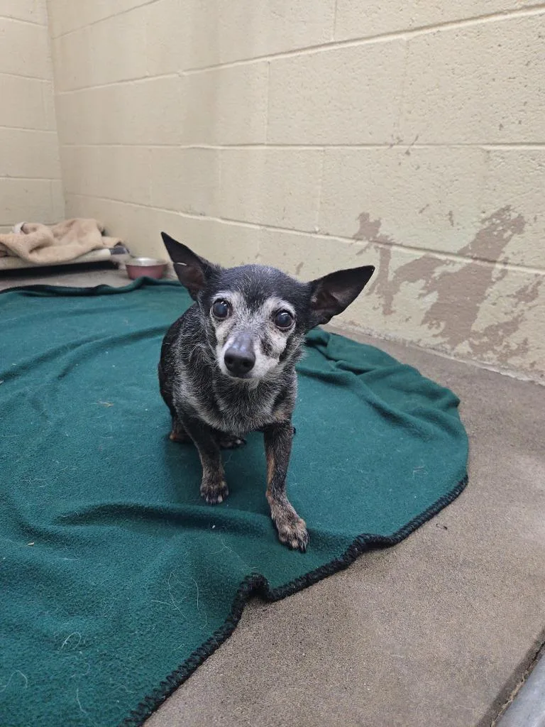 Tinker