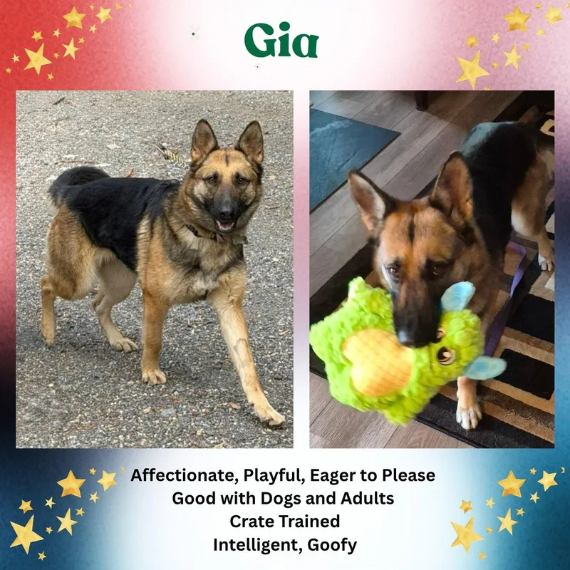 Gia thumbnail 3