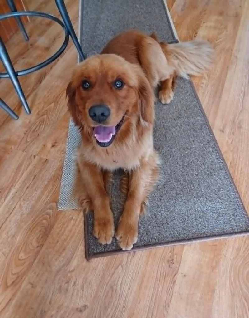 Boone
