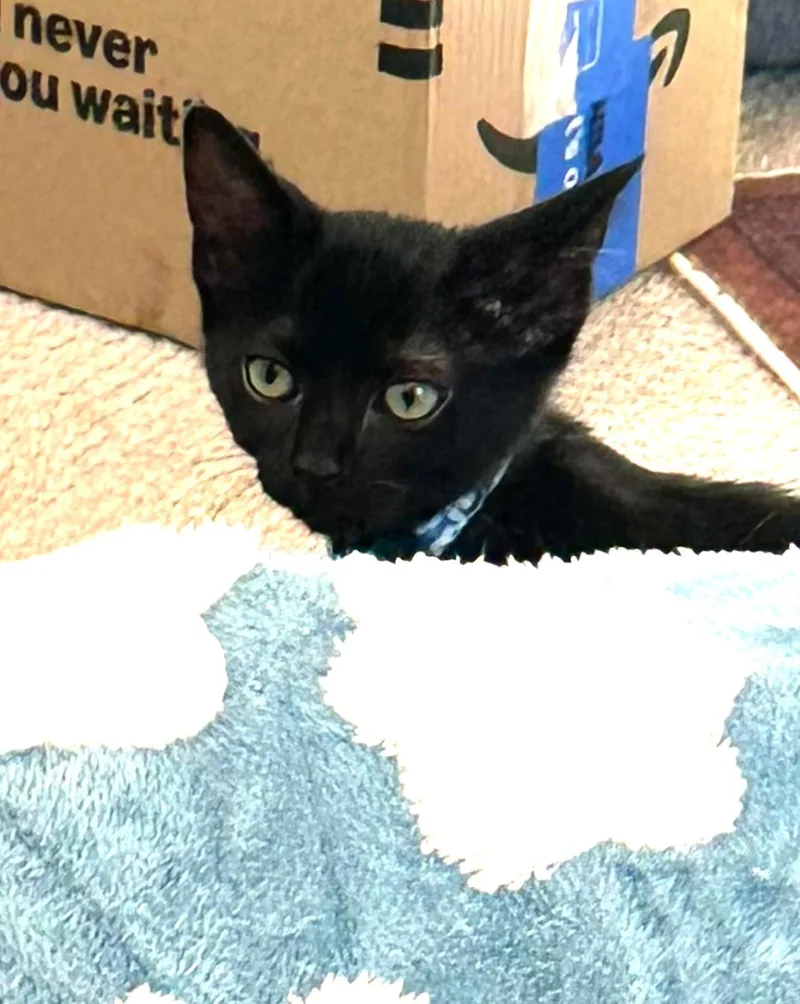 Billie — The Quiet thumbnail 3